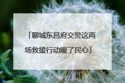 聊城东昌府交警这两场救援行动暖了民心