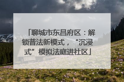 聊城市东昌府区：解锁普法新模式，“沉浸式”模拟法庭进社区