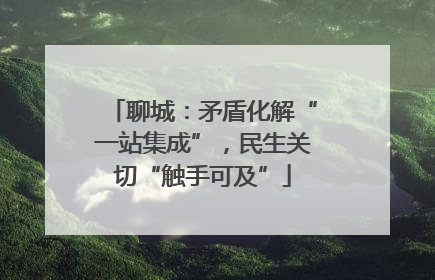 聊城：矛盾化解“一站集成”，民生关切“触手可及”