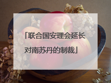 联合国安理会延长对南苏丹的制裁