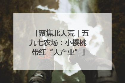 聚焦北大荒｜五九七农场：小樱桃带红“大产业”