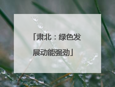 肃北：绿色发展动能强劲