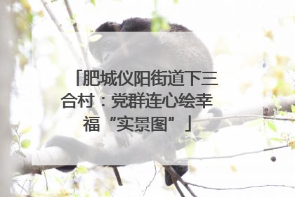 肥城仪阳街道下三合村：党群连心绘幸福“实景图”