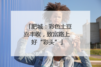 肥城：彩色土豆喜丰收，致富路上好“彩头”