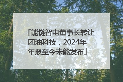 能链智电董事长转让团油科技，2024年年报至今未能发布