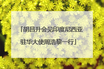 胡昌升会见印度尼西亚驻华大使周浩黎一行