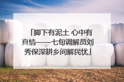 脚下有泥土 心中有真情——七旬调解员刘秀保深耕乡间解民忧