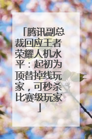 腾讯副总裁回应王者荣耀人机水平：起初为顶替掉线玩家，可秒杀比赛级玩家