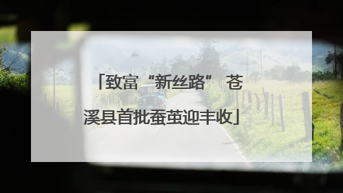 致富“新丝路” 苍溪县首批蚕茧迎丰收
