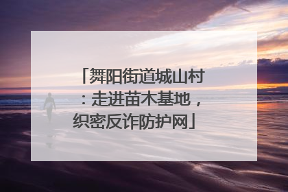 舞阳街道城山村：走进苗木基地，织密反诈防护网