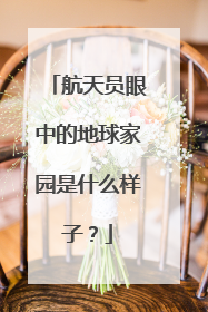 航天员眼中的地球家园是什么样子？