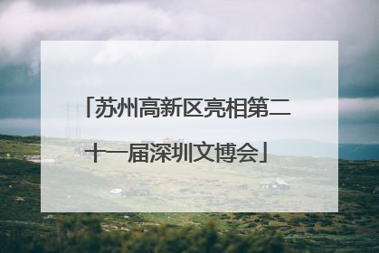苏州高新区亮相第二十一届深圳文博会