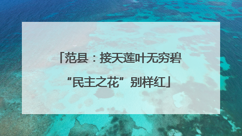 范县：接天莲叶无穷碧 “民主之花”别样红
