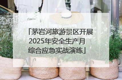 茅岩河旅游景区开展2025年安全生产月综合应急实战演练