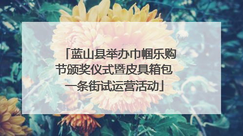 蓝山县举办巾帼乐购节颁奖仪式暨皮具箱包一条街试运营活动