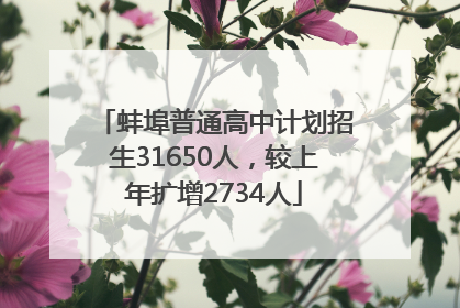蚌埠普通高中计划招生31650人，较上年扩增2734人