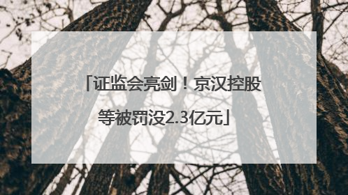 证监会亮剑！京汉控股等被罚没2.3亿元