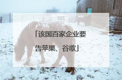 该国百家企业要告苹果、谷歌