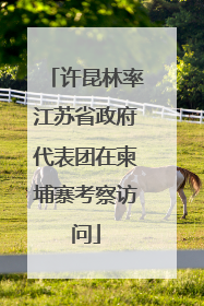 许昆林率江苏省政府代表团在柬埔寨考察访问