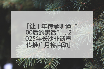 让千年传承听懂“00后的黑话”，2025年长沙非遗宣传推广月将启动