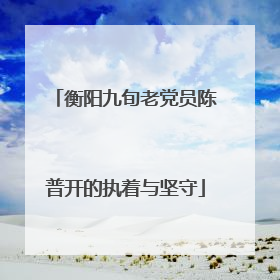 衡阳九旬老党员陈普开的执着与坚守