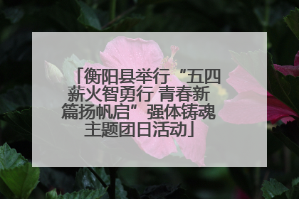 衡阳县举行“五四薪火智勇行 青春新篇扬帆启”强体铸魂主题团日活动