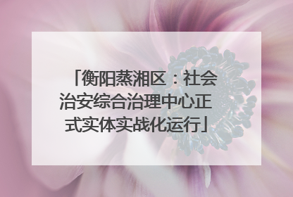 衡阳蒸湘区：社会治安综合治理中心正式实体实战化运行