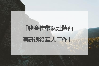 裴金佳带队赴陕西调研退役军人工作