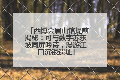 西博会眉山馆提前揭秘：可与数字苏东坡同屏吟诗，漫游江口沉银遗址