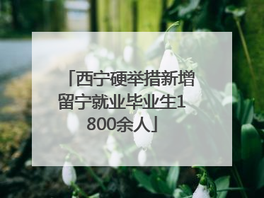 西宁硬举措新增留宁就业毕业生1800余人