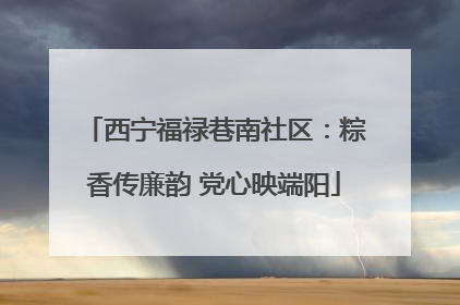 西宁福禄巷南社区：粽香传廉韵 党心映端阳