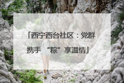 西宁西台社区：党群携手 “粽”享温情