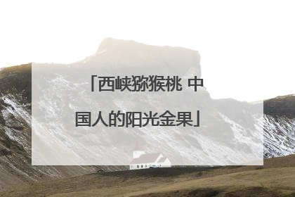 西峡猕猴桃 中国人的阳光金果
