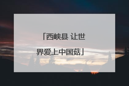 西峡县 让世界爱上中国菇