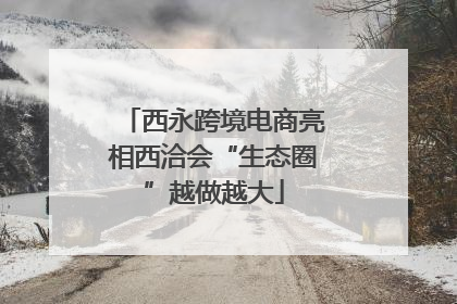 西永跨境电商亮相西洽会“生态圈”越做越大