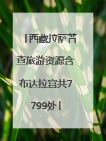 西藏拉萨普查旅游资源含布达拉宫共7799处
