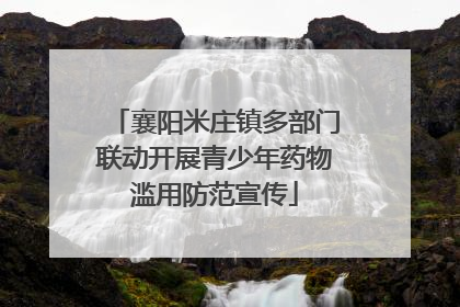 襄阳米庄镇多部门联动开展青少年药物滥用防范宣传