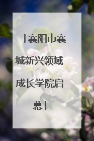 襄阳市襄城新兴领域成长学院启幕