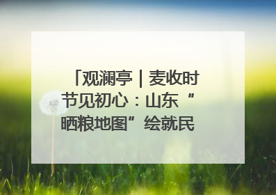 观澜亭｜麦收时节见初心：山东“晒粮地图”绘就民生温暖画卷