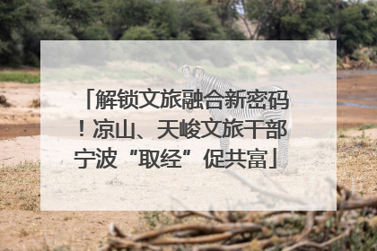 解锁文旅融合新密码！凉山、天峻文旅干部宁波“取经”促共富