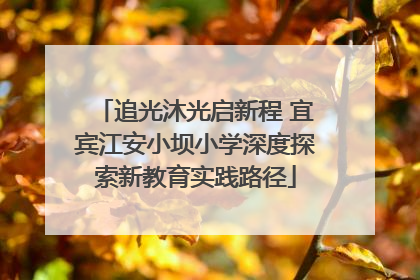 追光沐光启新程 宜宾江安小坝小学深度探索新教育实践路径