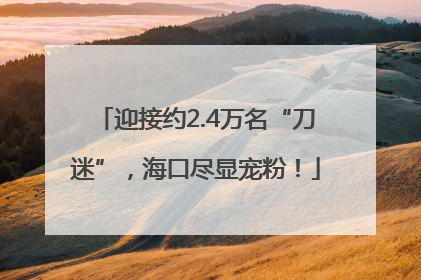 迎接约2.4万名“刀迷”，海口尽显宠粉！