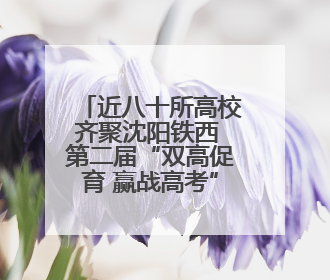 近八十所高校齐聚沈阳铁西 第二届“双高促育 赢战高考”公益活动即将启幕