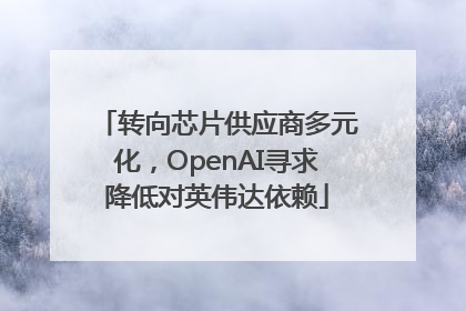 转向芯片供应商多元化，OpenAI寻求降低对英伟达依赖