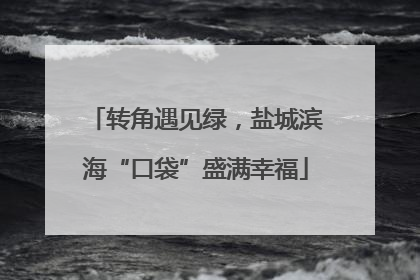 转角遇见绿，盐城滨海“口袋”盛满幸福