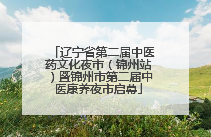 辽宁省第二届中医药文化夜市（锦州站）暨锦州市第二届中医康养夜市启幕