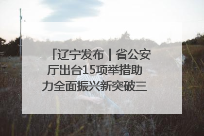 辽宁发布｜省公安厅出台15项举措助力全面振兴新突破三年行动决胜之战