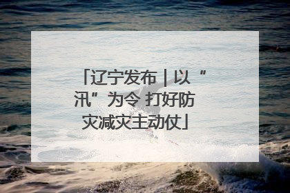 辽宁发布｜以“汛”为令 打好防灾减灾主动仗