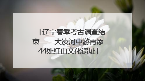 辽宁春季考古调查结束——大凌河中游再添44处红山文化遗址