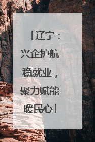 辽宁：兴企护航稳就业，聚力赋能暖民心
